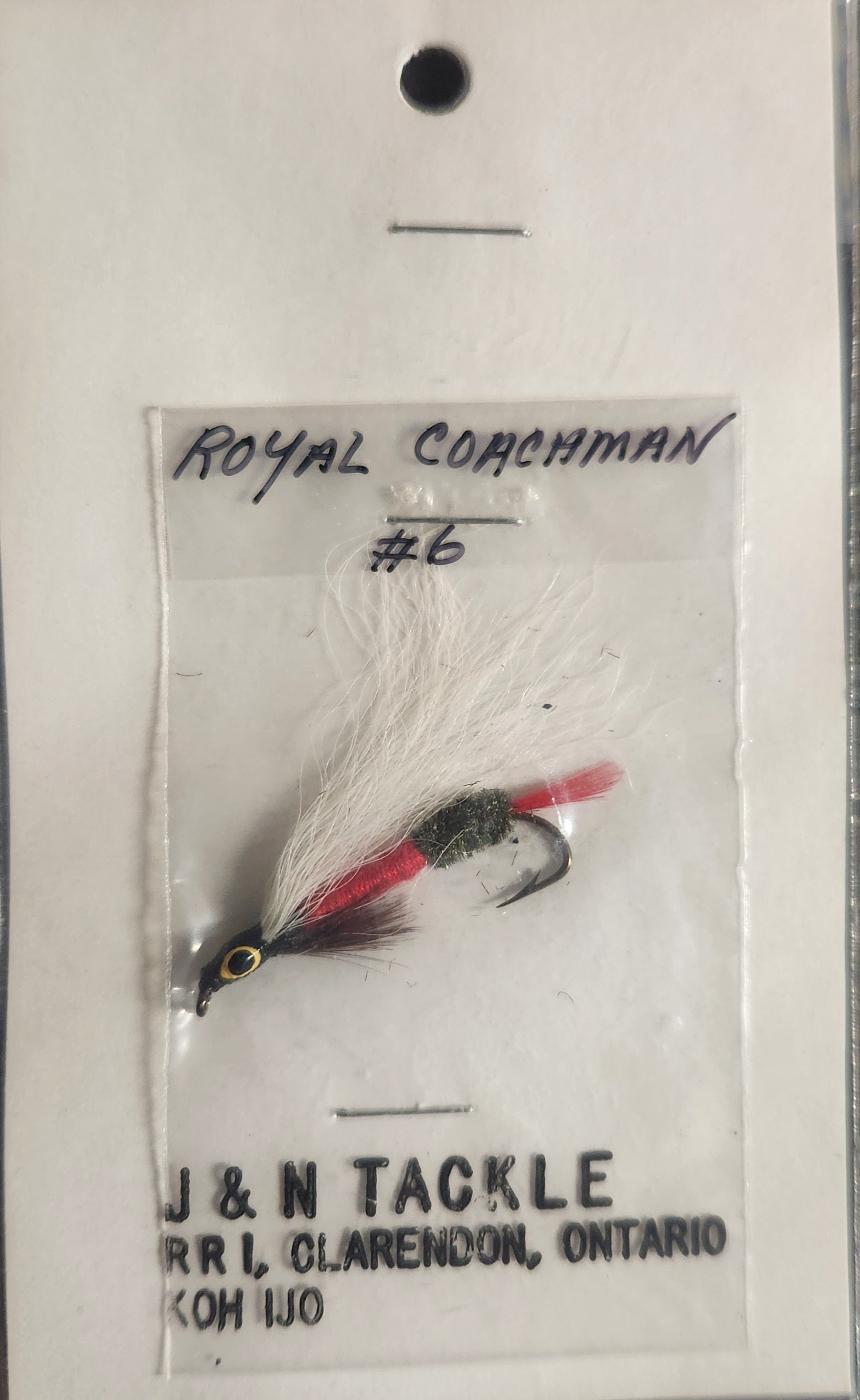 Classic Royal Coachman #6