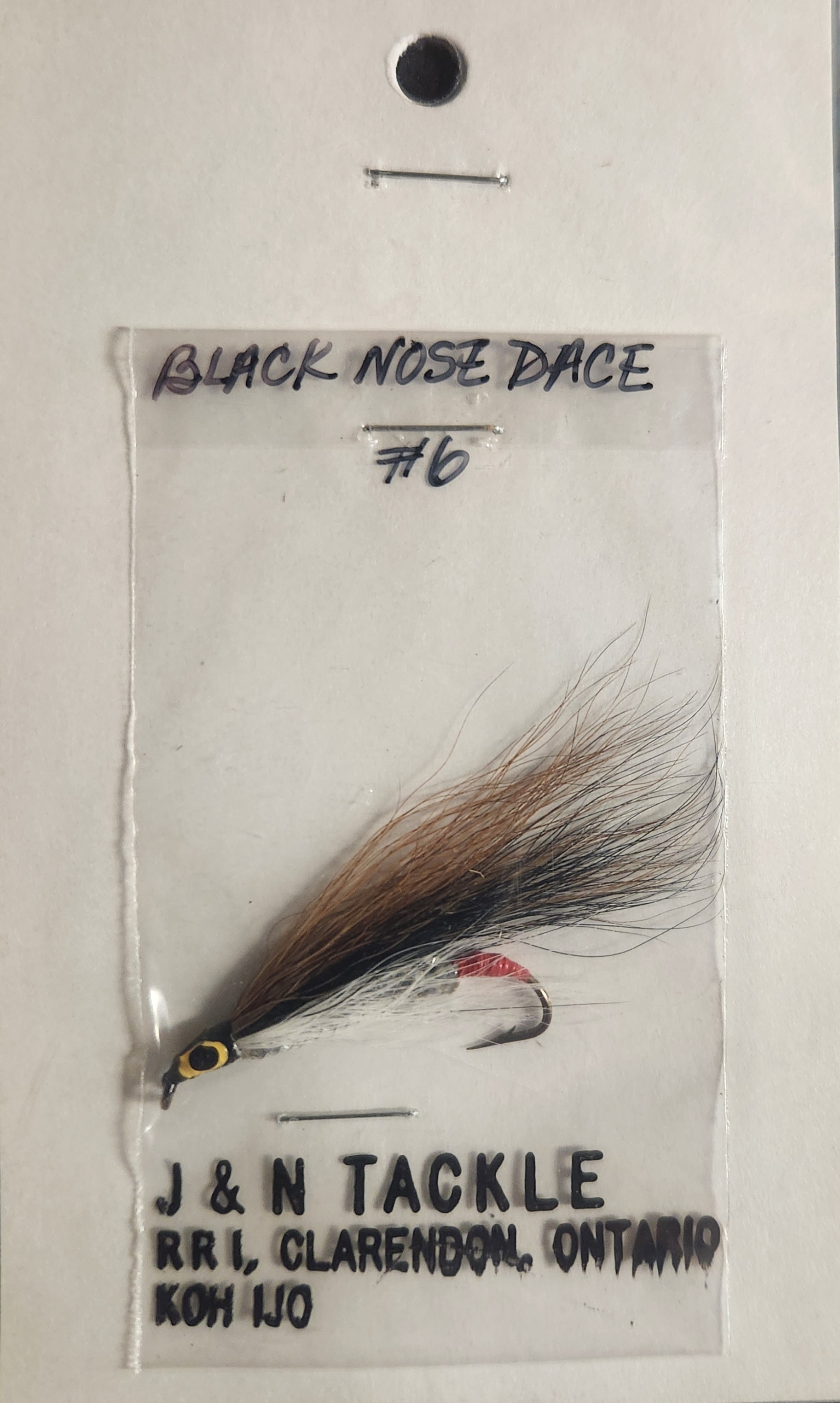 Classic Black Nose Dace #6
