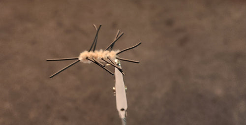 All Around Trout - 24 Patterns