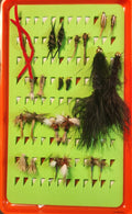 All Around Trout - 24 Patterns