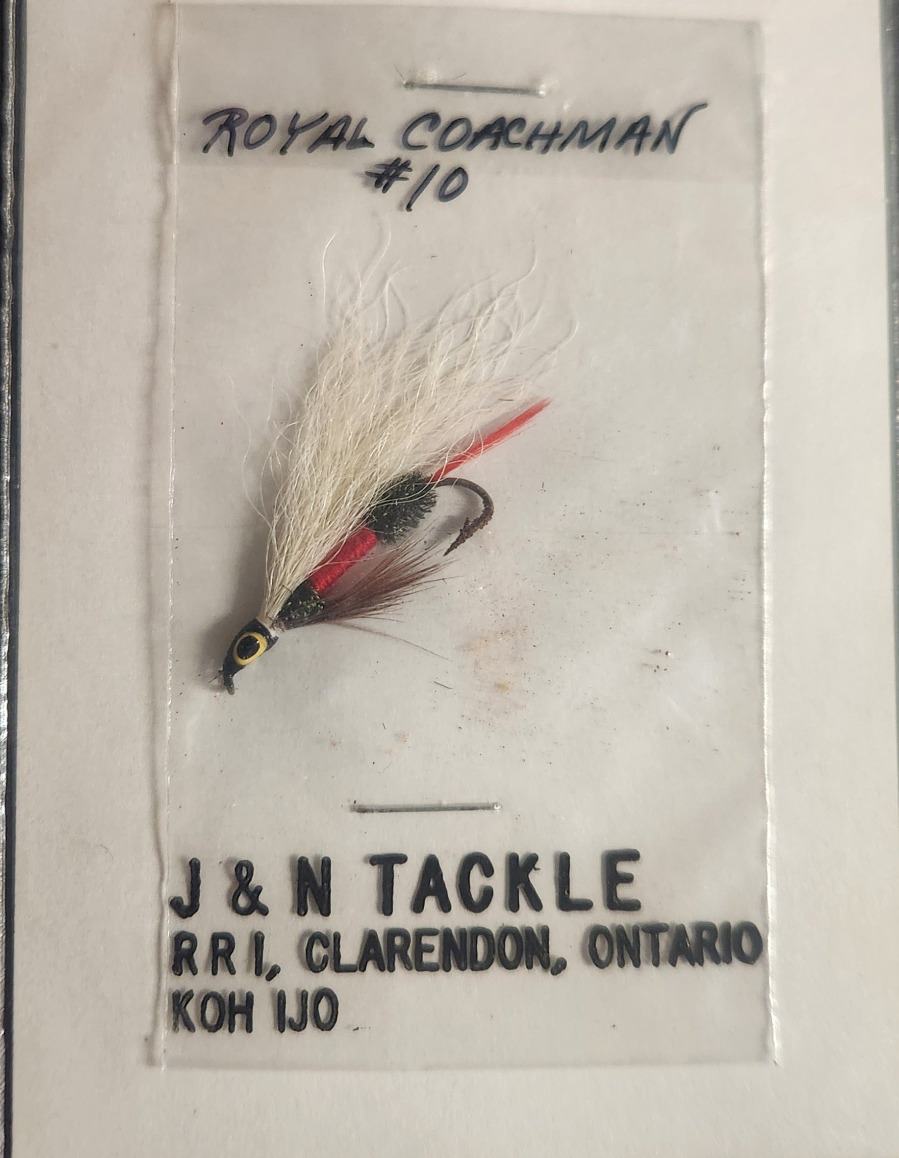 Classic Royal Coachman #10