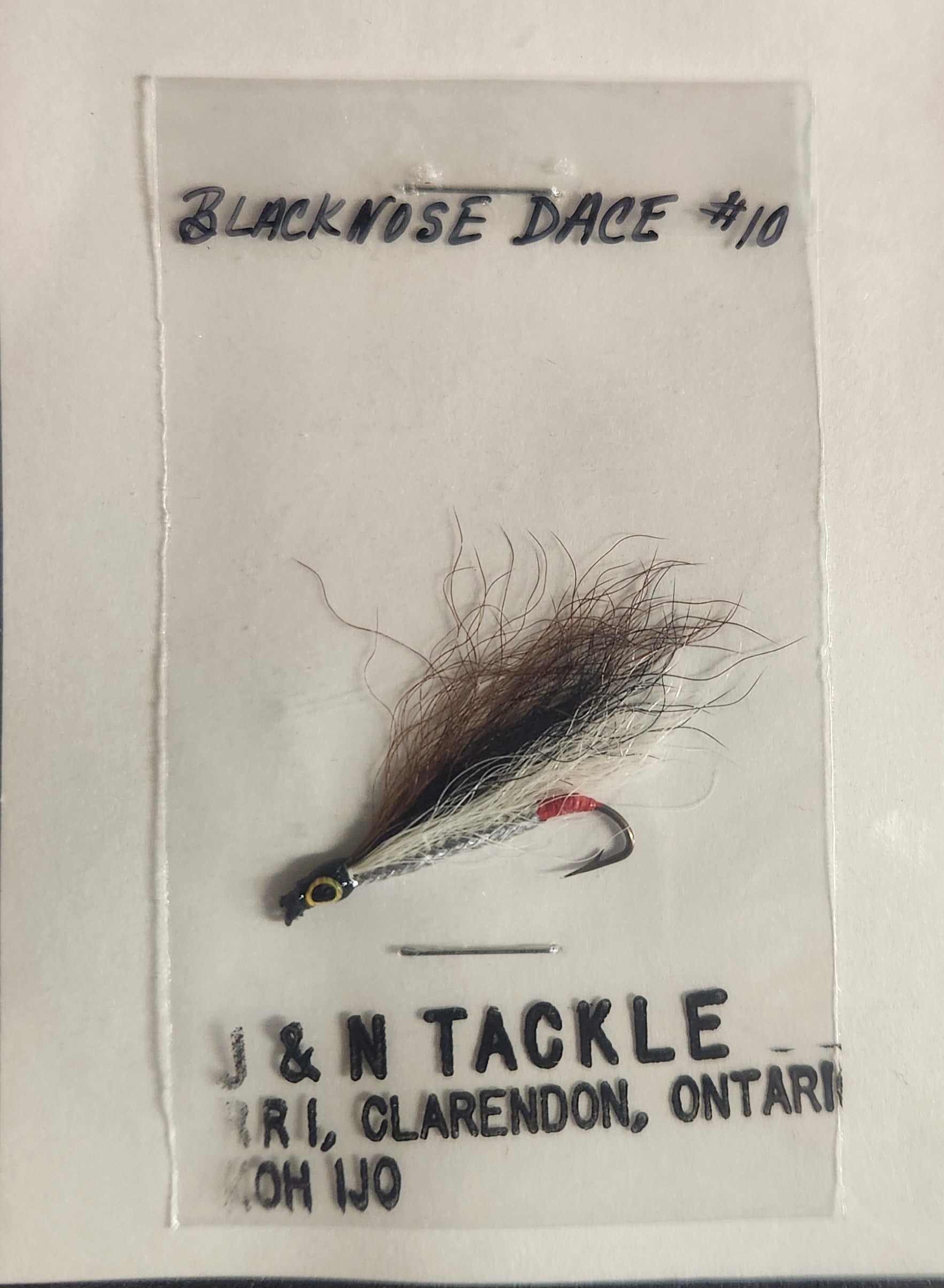 Classic Black Nose Dace #10